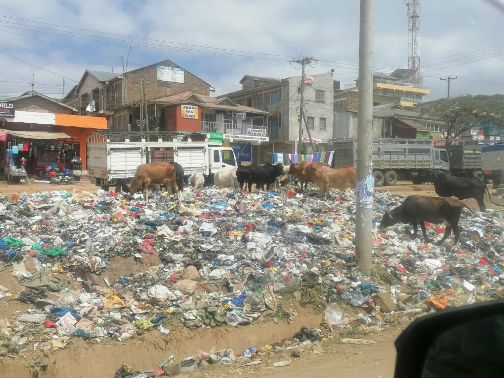 Ruai town dump site